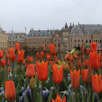 Amsterdam & Giethoorn - Figura 1